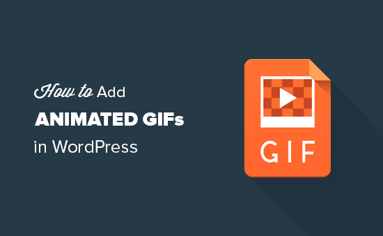 Como adicionar GIF animados no WordPress 