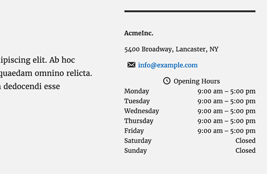 Informações comerciais e horário de funcionamento no WordPress 