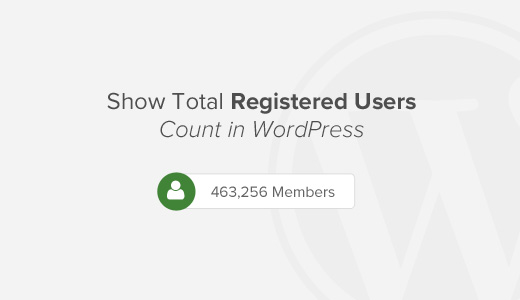 Como mostrar o número total de usuários registrados no WordPress 