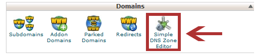 Editor de Zona DNS Simples no cPanel 