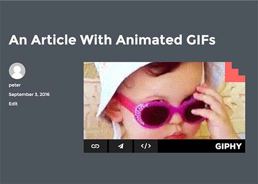 Gif da Giphy embeded em uma postagem do WordPress 