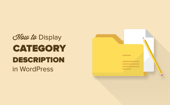 Como exibir descrição de categoria no WordPress 