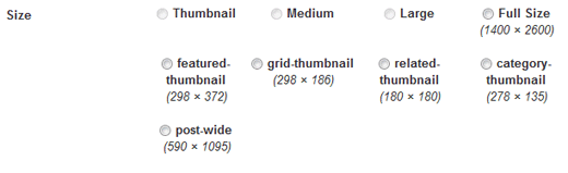 Tamanhos de imagem adicionais para postagens 