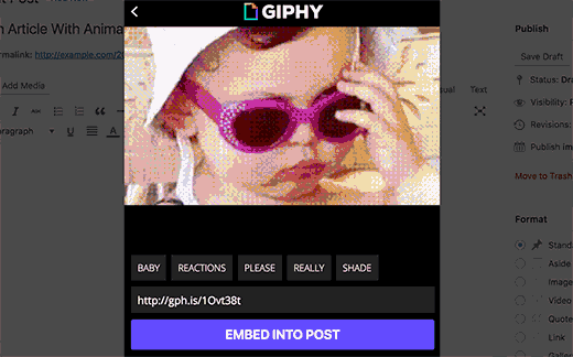 Embed Giphy 