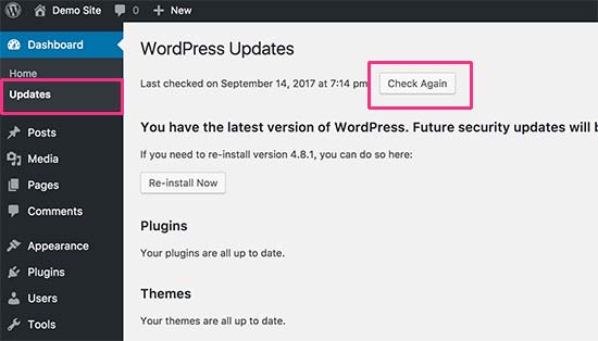 Verifique as atualizações do WordPress 