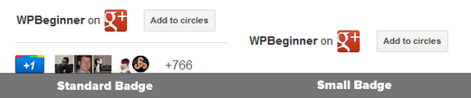 Google+ Add to Circles Badge 