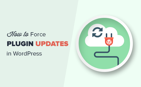 Force as atualizações do plugin do WordPress 