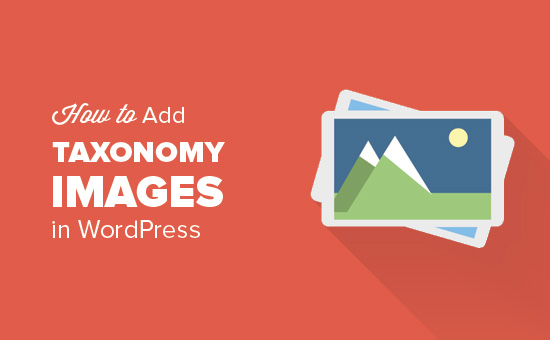 Como adicionar imagens de taxonomia no WordPress 