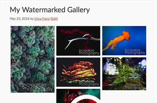 Uma galeria de imagens no WordPress com imagens com marca de água 