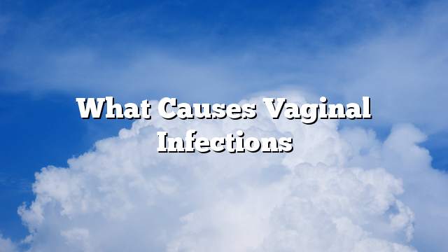 O Que Causa Infecções Vaginais Todos Os Fatos 8897